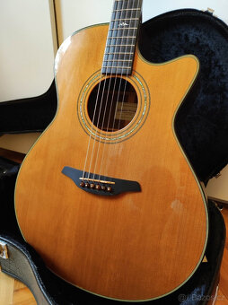 Stonebridge GS-23-CR Cut, Furch Yellow CR, OHSC, výborný sta - 5