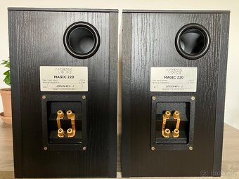 Authentic Voice - Magic 220 - 5