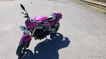 Triumph Speed Triple 955i - 5