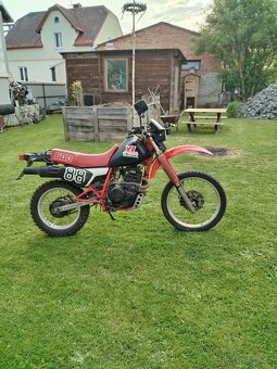 Honda xl 600 r - 5