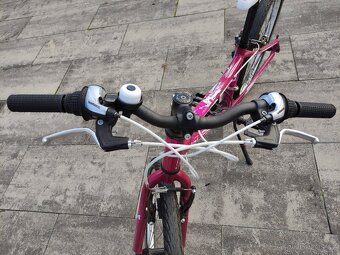 Dívčí kolo superior 24 paint - 5