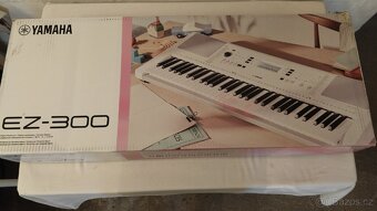 Yamaha EZ 300 - 5