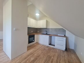 apartm.3+1 se zahradou Jeseniky -N.Ves - 5