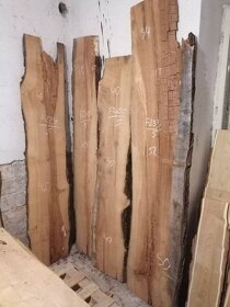 Fošny, hranolky, prkna, odřezky přes 66 dřevin - 5