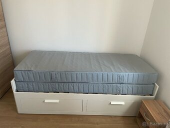 Postel - 5