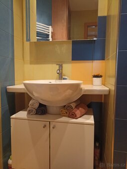 Pornájem 3+kk s lodžií po promyšlené rekonstrukci - 5