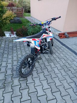 Pitbike Leramotors Shark 125 - 5