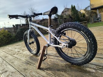 Early Rider Seeker 16 - 5