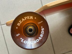 longboard - 5