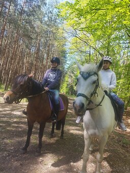 Lesní jezdecké tábory a příměstské tábory - 5