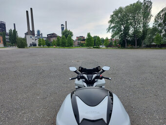 Honda Forza 300, původ ČR, perfektní stav - 5