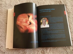 Kniha o těhotenství a dítěti /Antonín Pařízek/ - 5