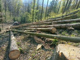 Rizikové kácení,těžba dřeva - 5