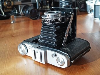 ZEISS IKON Nettar (Novar 4,5/75mm) - 1949 - 5