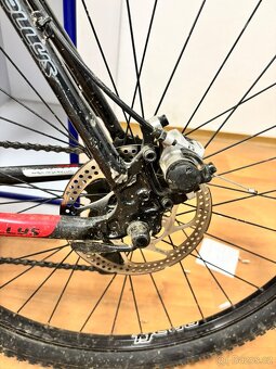 Kolo Kellys Spider - 5