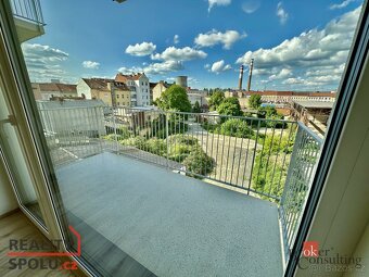 Pronájem, byty/1+kk, 31.7 m2, Křenová 551/43, Trnitá, 60200 - 5