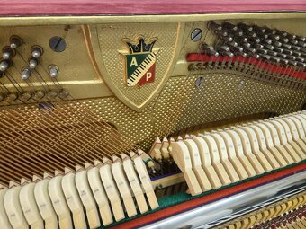 Petrof k 114 s dopravou zdarma ČR - 5