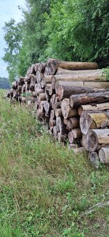 palivové dřevo, SM suchá kůrovcová kulatina - 5
