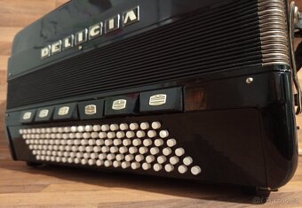 Akordeon (harmonika, heligonka) Delicia 120 - 5