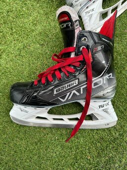 Brusle - bauer vapor x.3.7 - 5