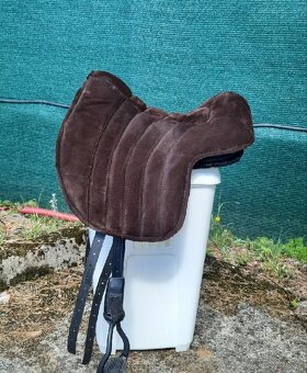 ORX Epona - 5