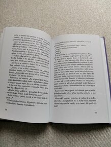 Holky jsou slepice, až na Ruby - Thomas Brinx - 5