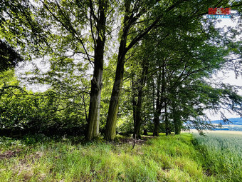 Prodej lesa, 1312 m², Libchavy - 5