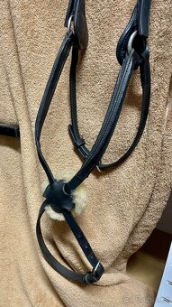 Uzdečka, ohlávka, šlachovky a další… - 5