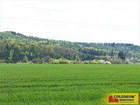 Svinošice - zemědělská půda  8 984 m2  - pozemek - 5