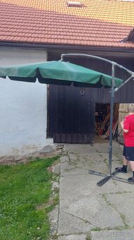 Klece na králíka, ptactvo, slunečník - 5