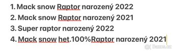 Prodáme gekončíky noční - 5