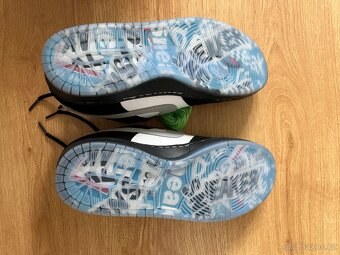 Nike dunk low panda pigeon - 5