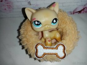 LPS - Littlest Pet Shop -mini pelíšek - 5