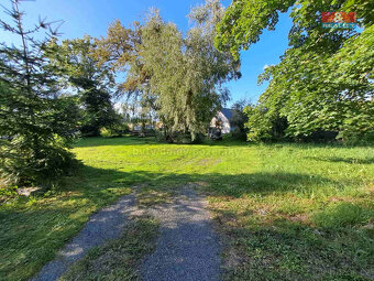 Prodej zahrady, 719 m², Město Albrechtice - 5
