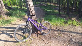 CTM Dirtking expert 2025 - 5