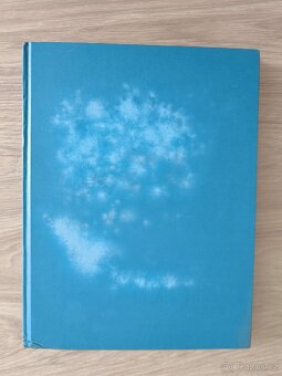 Das Ende Östrerreichs - 5
