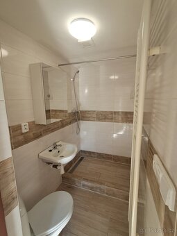 LETOVICE dům se třemi bytovými jednotkami 1+1 - 5