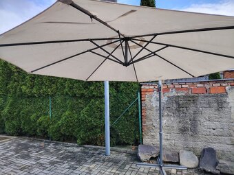 Velký slunečník - 5