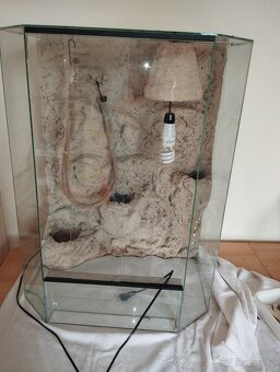 Terárium pro chameleona, hada - 5