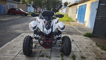 Čtyřkolka Access Warrior 450 - 5