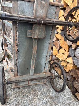 Starožitný žebřiňák - 5