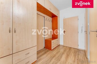 2+1 M. Knesla, žádaná lokalita - 5