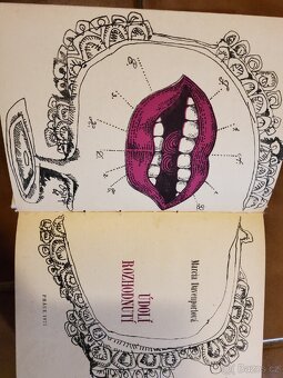 romány - různé - 5