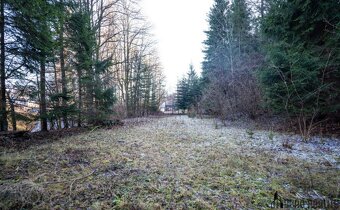 Prodej stavebních pozemků s rekreační chatou 535 m² v Branné - 5