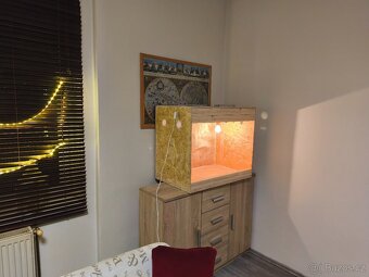 Terárium 80x50x65 - 5