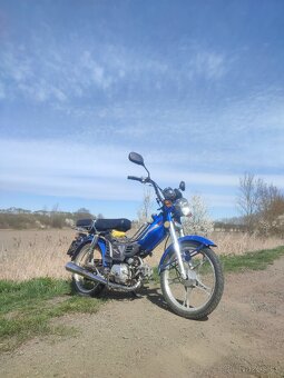 Jawa betka Champ - 5