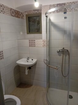 Pronajmu zrekonstruovaný byt - 5