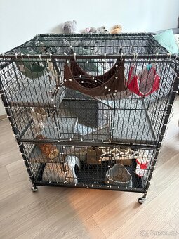 Laboratorní potkan a klec - 5