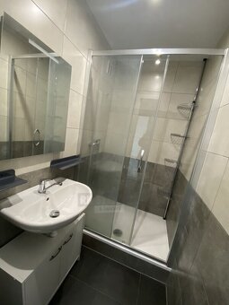 pronájem bytu 1+1, Čtyři Dvory, České Budějovice - 5