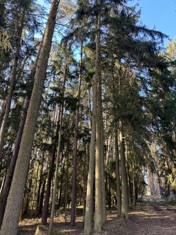 Prodám pozemky v katastrálním území Nemějice - 5
